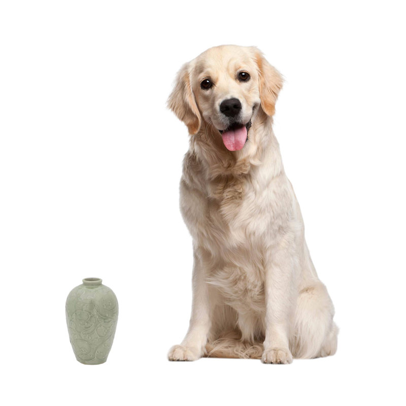 NOVICA Handmade Wildflower Celadon Ceramic Vase