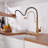 Bolden CASAINC 1.8 GPM Spring Neck Pull Down Kitchen Faucet with Deck Plate-93965564