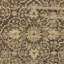 Tapis gris anthracite / gris / sauge poussiéreux Cooksville-1115001586
