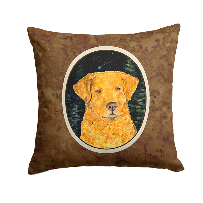 Coussin intérieur / extérieur Starry Night Chesapeake Bay Retriever