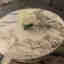 Customer photo 2 of 2