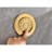 Brushed Gold Shower System With Fashionable Bodysprays, Arm & Hose Modern In Functional Lever Handles Bodysprays-120920758