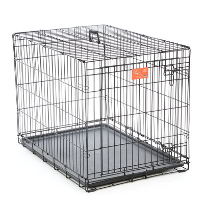 MidWest Homes for Pets Life Stage Single Door Dog Crate