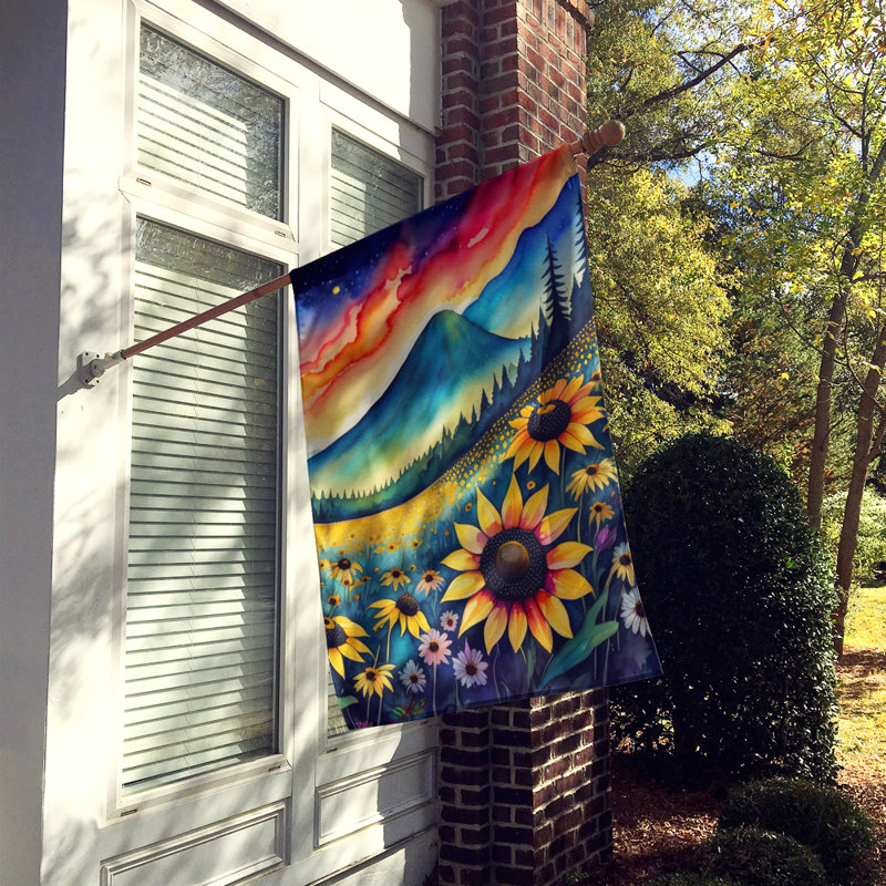 Double Sided 40'' H x 28'' W Polyester House Flag