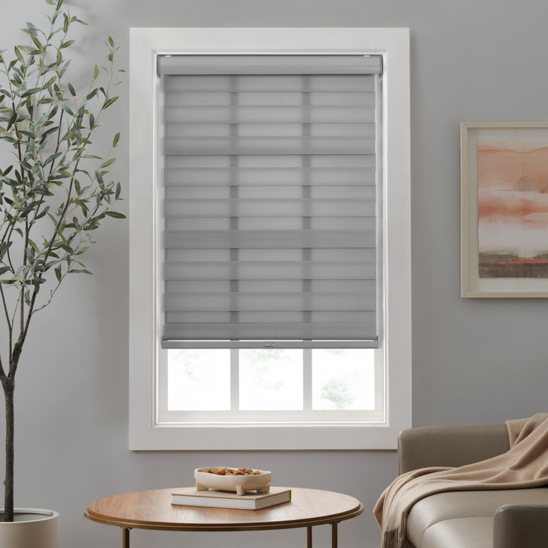 Semi Sheer Paper Zebra Shades, Gray, 45"W x 72"L