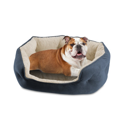 Creedmoor Orthopedic Polyester Pet Bed