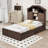 Abdella Panel Headboard Design Bed with Drawers-655377976