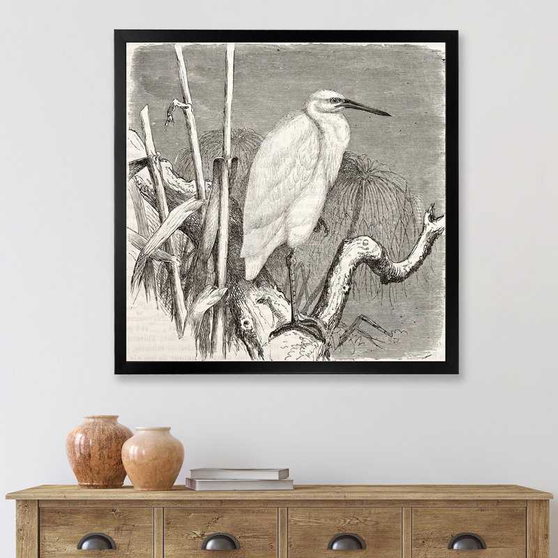 «Little Egret Bird», reproduction de cadre photo sur toile, Cadre noir, H 30 po x l 30 po x P 1 po