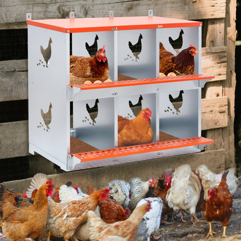 Boîte de nidification orange en acier galvanisé Orange 6, 25.3" H x 31.15" W x 17.02" D