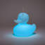 Petite lampe The Duck-125499945-125499947