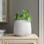 Galilee Terracotta Cachepot-73484266