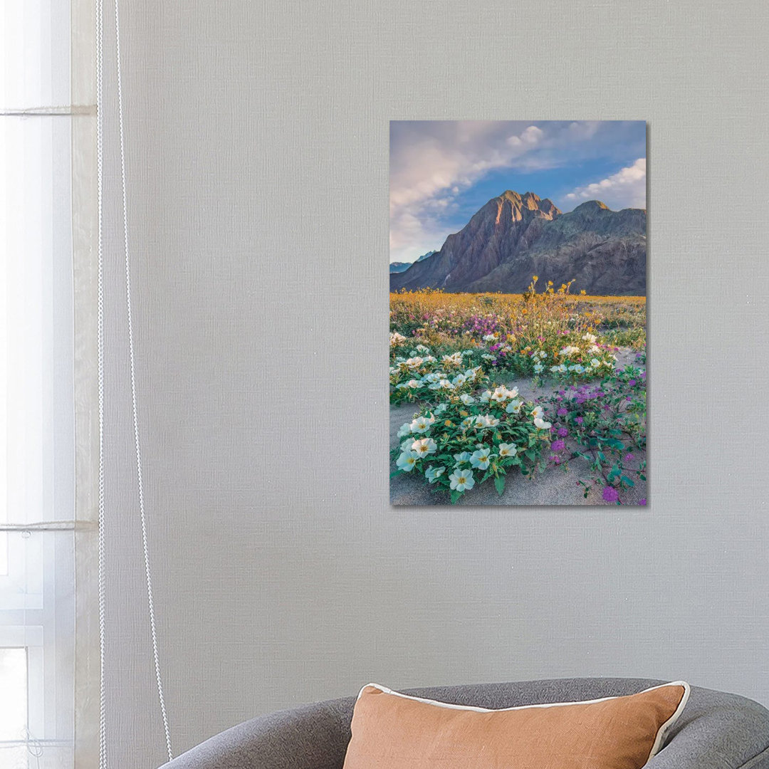 Desert Sand Verbena, Desert Sunflower And Desert Lily Spring Bloom Anza-Borrego Desert State Park CA von Tim Fitzharris ...