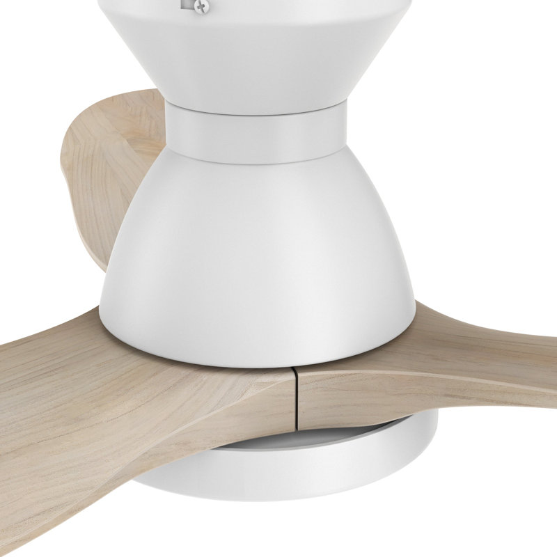 Ventilateur de plafond intelligent 52 po avec télécommande Jaaron, ensemble d'éclairage inclus, fonctionne avec l'assistant Google et Amazon Alexa, raccourci Siri.