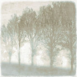 Mystic Morning I Print by Mari Urasawa