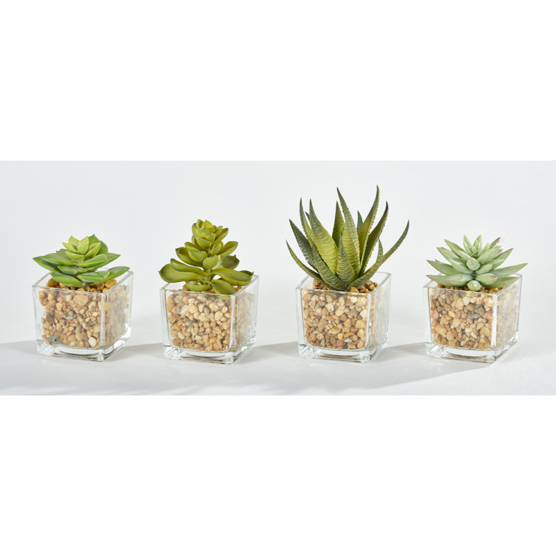 4'' Small Faux Succulent in 2.5" Square Glass Container With Desert Stones