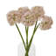 Arrangement-128130313-128130318