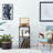 31.69'' H Media Shelves-689734666