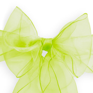 Elegant Organza Chair Sashes (Set of 10)