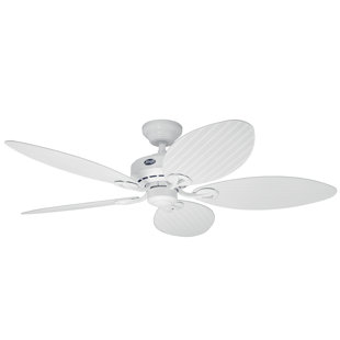137cm Ceiling Fan