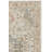 Hamilton Performance Oriental Indoor Rug-822630334
