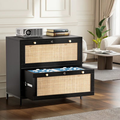Blasko 29.5" W Engineered Wood 2-Drawer Lateral File Cabinet