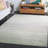 Mizelle Performance Rug-98673832