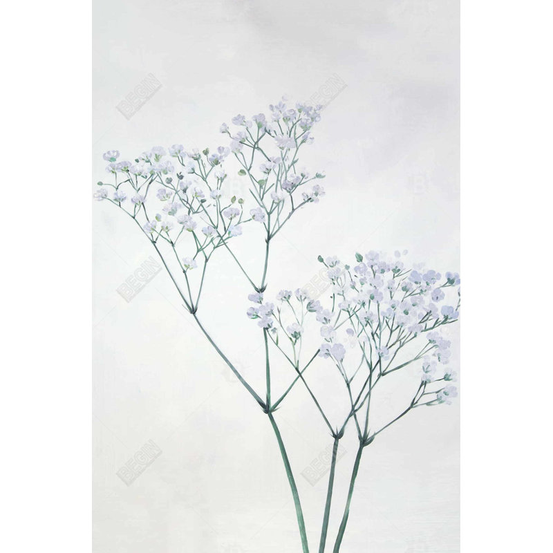 " Baby's-breath Flowers "