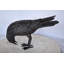 Raven regardant vers le bas bronze - Taille: L 19 po x l 5 po x H 11 po.