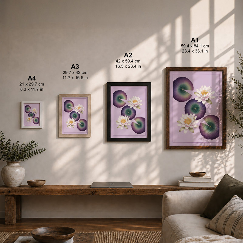 Water Lilies in Bloom Botanical - Framed Print, A2 - 59.4 x 42.0 cm, Black