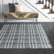 Alec Wool Gray Rug