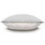 Naomi Sheer Overlay Euro Sham