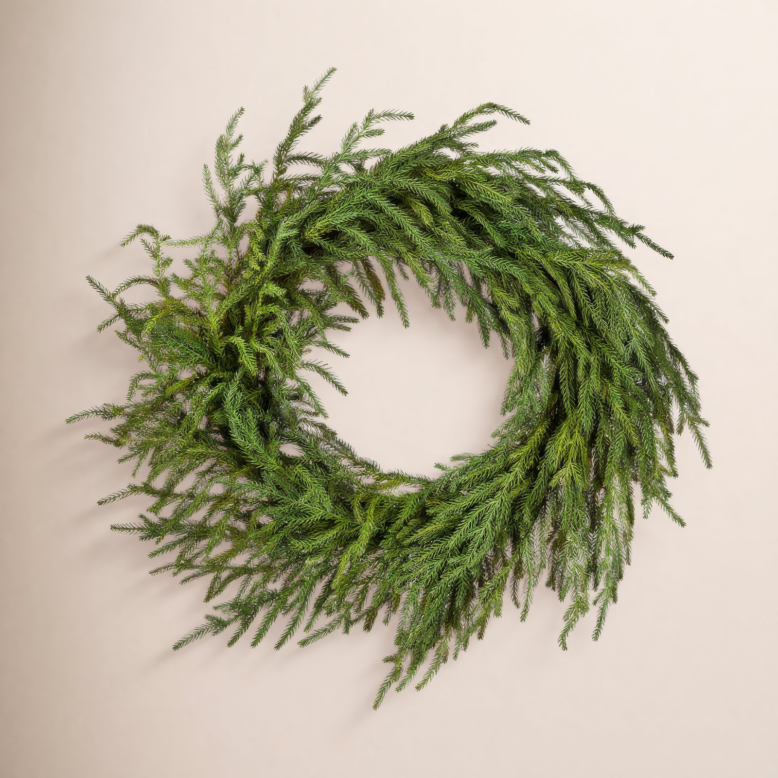 Norfolk Just Cut 24" Wreath