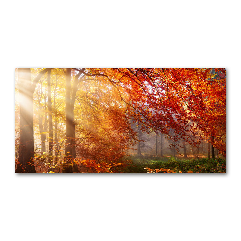 Galette 50cm W x 100cm L Glass Peel and Stick Panel