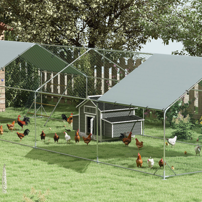Chicken Cage