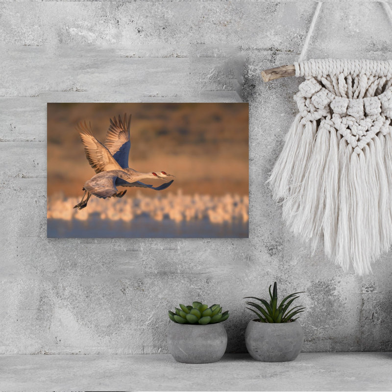 Golden Crane Flight Contemporary Bird Wall Art Print, 30.48cm H x 45.72cm W