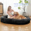 Lit pour animal de compagnie avec lit lavable et mousse orthopédique-2013017578