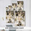 August Spice II - galerie Cavas-1869857078