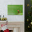 No Frame Print on Canvas-1048156652