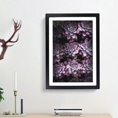 Pretty Purple Succulent Plants - Picture Frame Graphic Art Print