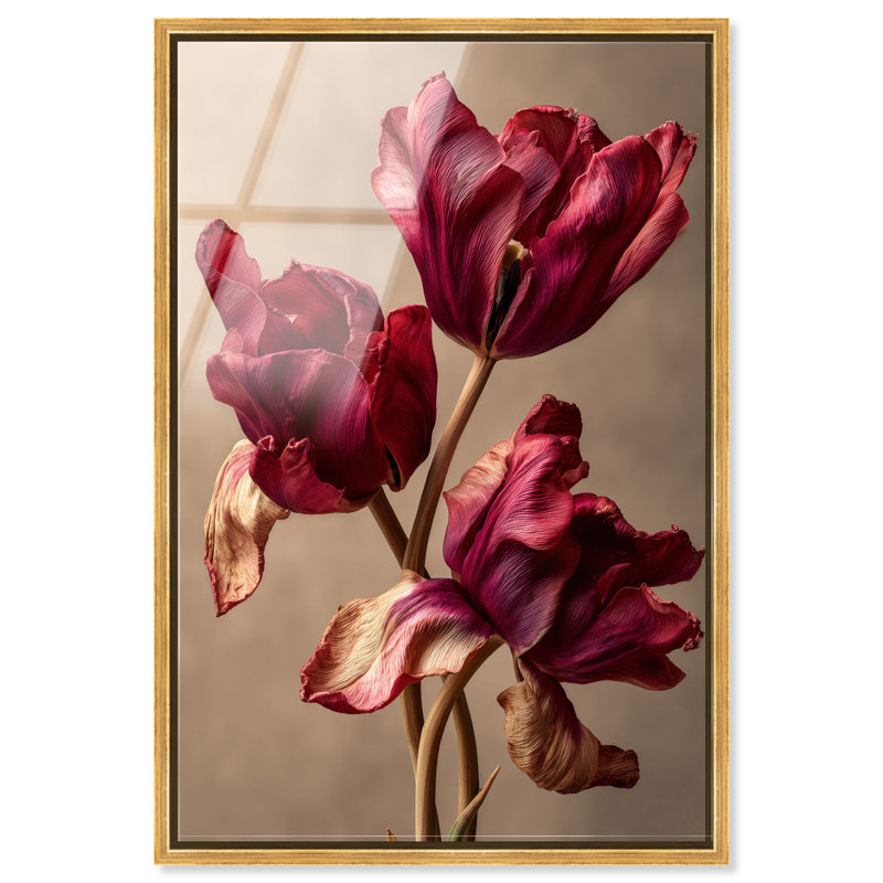 Dark Silk Remains Print, 25"H x 17"W, Gold Floater Frame
