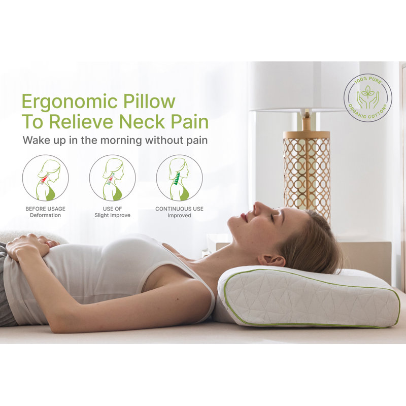 Standard Size White Ergonomic Memory Foam Cervical Pillow