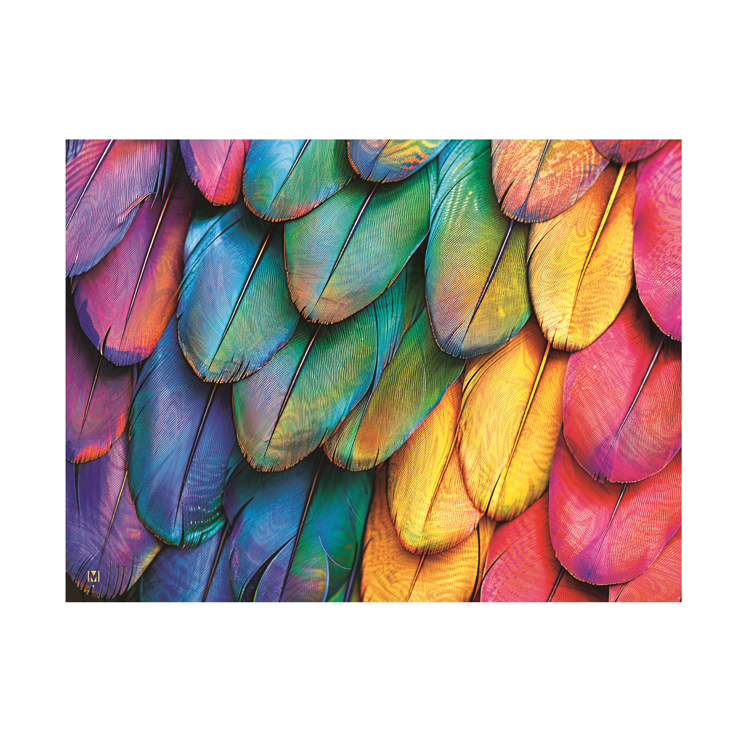 Winston Porter Michael David Ward Feather Rainbow 3 Canvas Art | Wayfair