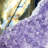 Amethyst on Basalt - 