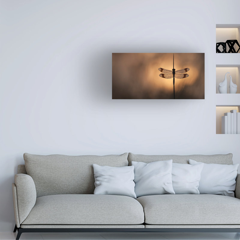 Art sur toile Daan De Vos Here Comes The Sun, H 12 po x l 24 po