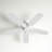 Jacobi 52'' Ceiling Fan with LED Lights-1788204790
