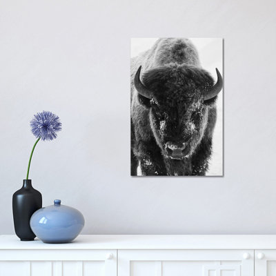 " Bison Bull Frosty Morning " by Ken Archer