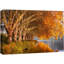«Autumn Fall Orange Leaf Forest Lake» sur toile-93629620-93629619