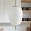 Luminaire suspendu 1 globe Naninne
