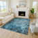Machine Washable Indoor/Outdoor Derrick ACN2224 Floral Rug