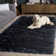 Cimah Shag Hand Tufted Performance Solid Color Rug